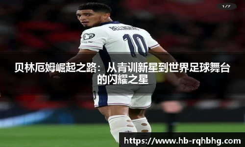 芒果体育官网